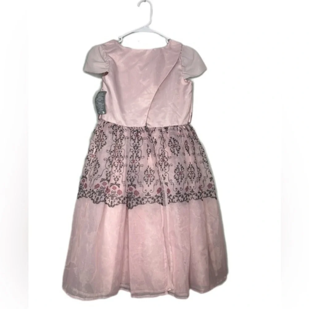 Disney Store‎ Sleeping Beauty Aurora Pink Adaptive Princess Dress